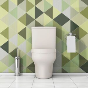 Langley Toilet Repair And Replacement Service Lewis Maclean